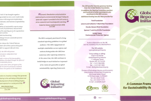 A Common Framework for Sustainability Reporting