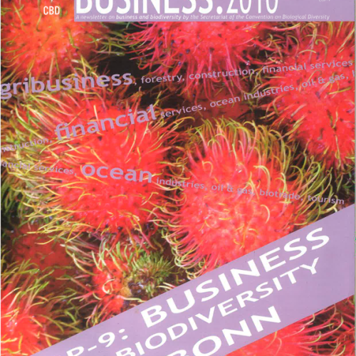 Business.2010