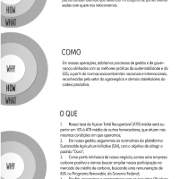 The Golden Circle das Fazendas Jacutinga & Marimbondo