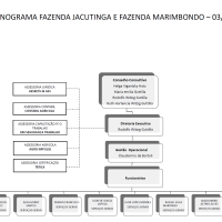 Organograma das Fazendas Jacutinga & Marimbondo