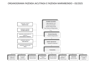 Organograma das Fazendas Jacutinga & Marimbondo
