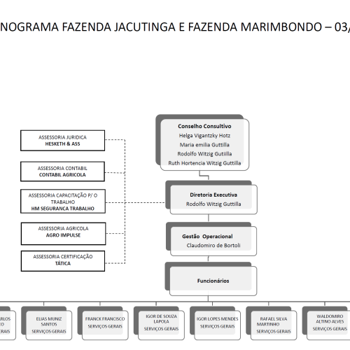 Organograma das Fazendas Jacutinga & Marimbondo