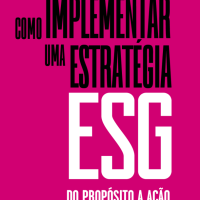 Como Implementar uma Estratégia ESG: do propósito à ação