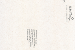 Carta de agradecimento