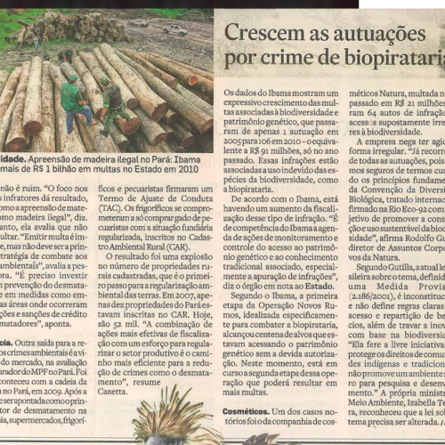 Crescem as autuações por crime de biopirataria